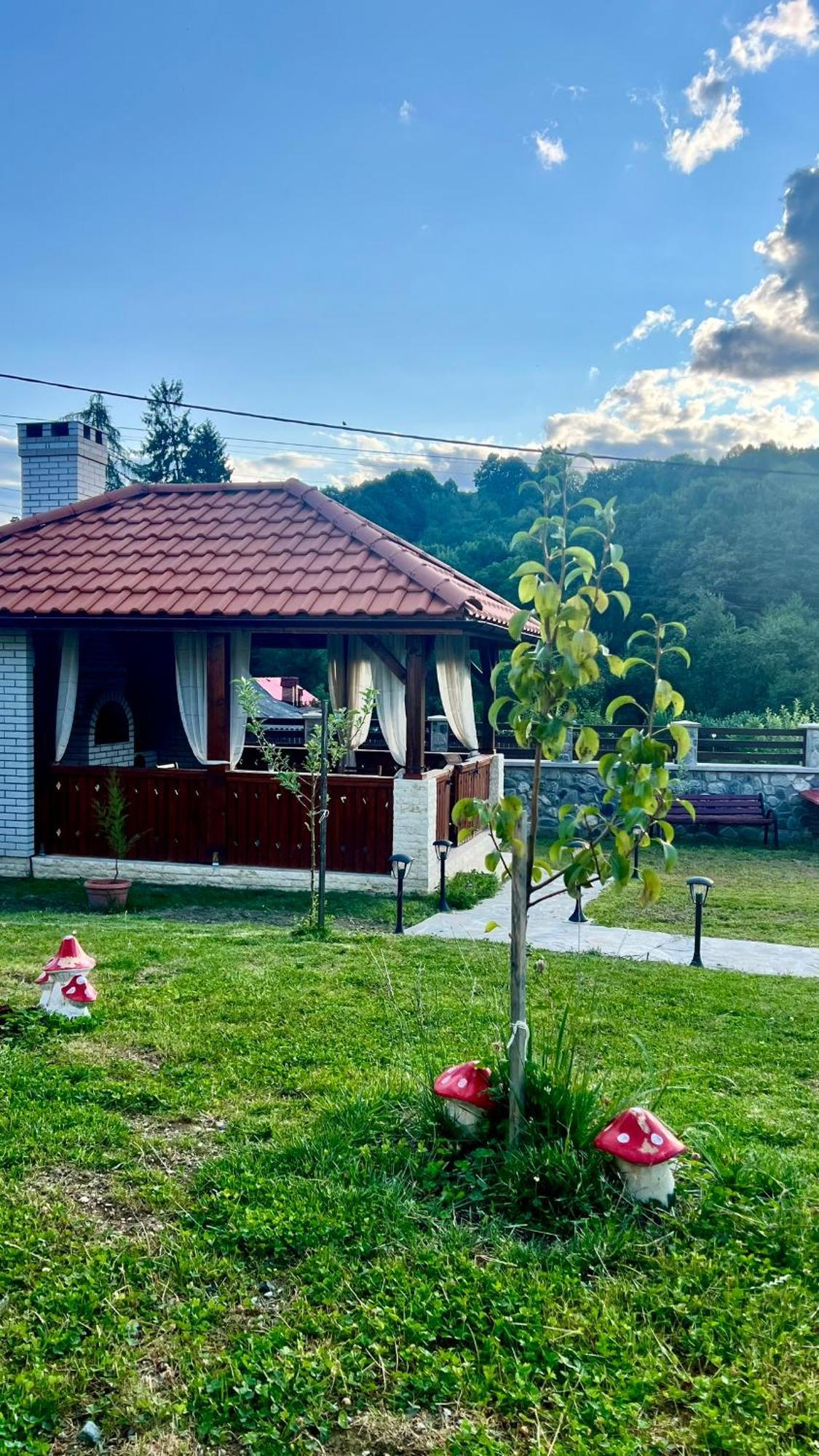 Casa Tudorescu Horezu Kültér fotó